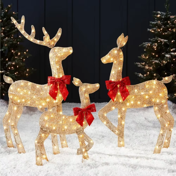 Lighted Christmas Deer Family Set