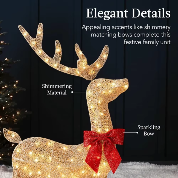 Lighted Christmas Deer Family Set